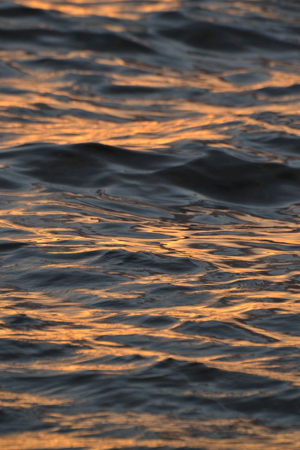 SunDrift - Reversible Swim Short