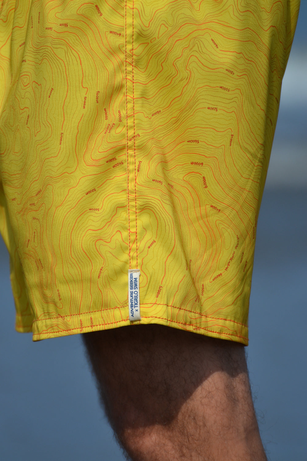 THE ANDINIST - Reversible Swim Short